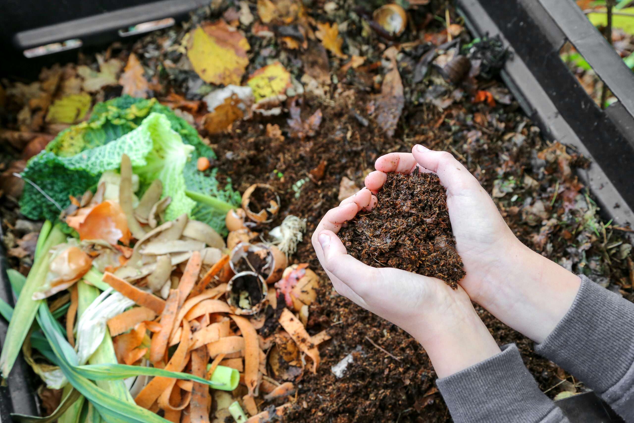 How To Make Compost